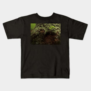 Magical Tree Stump Kids T-Shirt